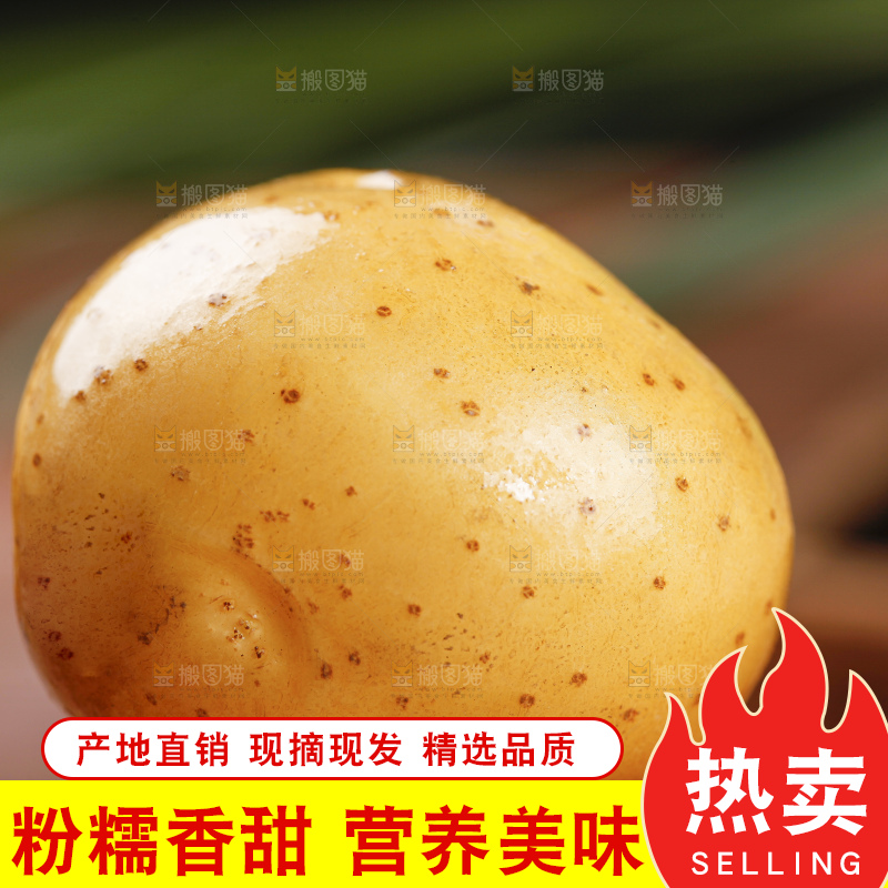 深底上的宜昌小土豆