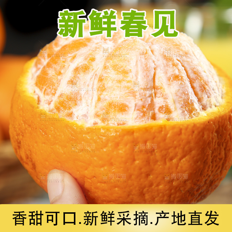 手里拿着四川耙耙柑