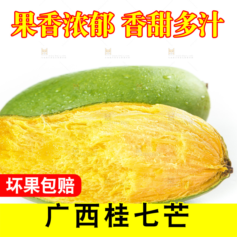 白底上的桂七香芒