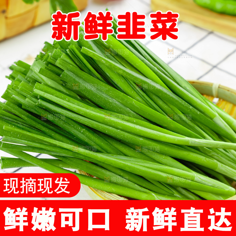 篮子里装着嫩韭菜