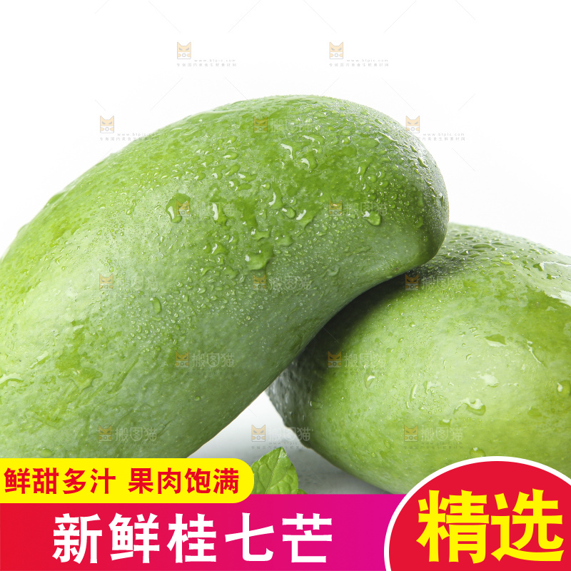 白底上放着青皮桂七芒