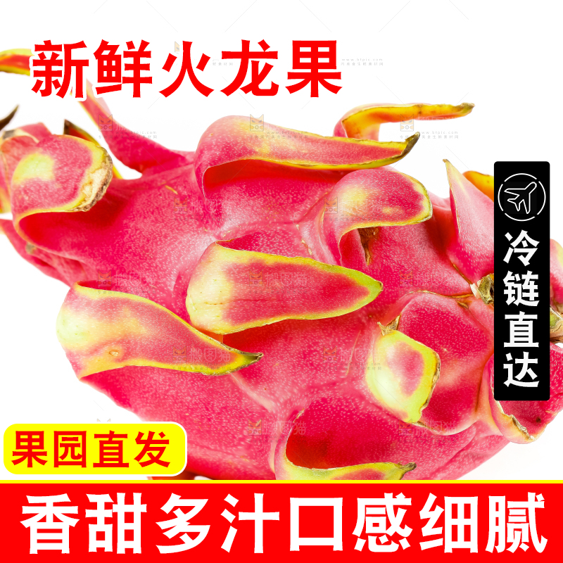 白底上放着海南红心火龙果