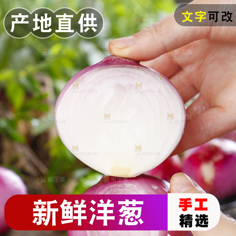 手里拿着新鲜洋葱