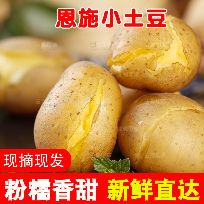 黑石板上摆放着黄心小土豆