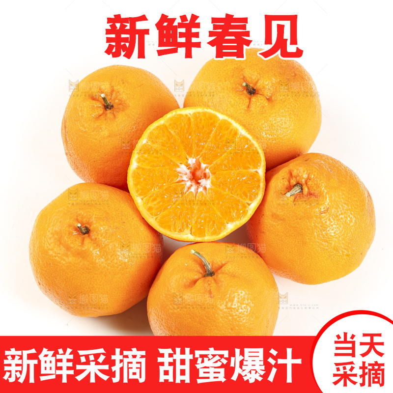 白底上放着一堆春见耙耙柑