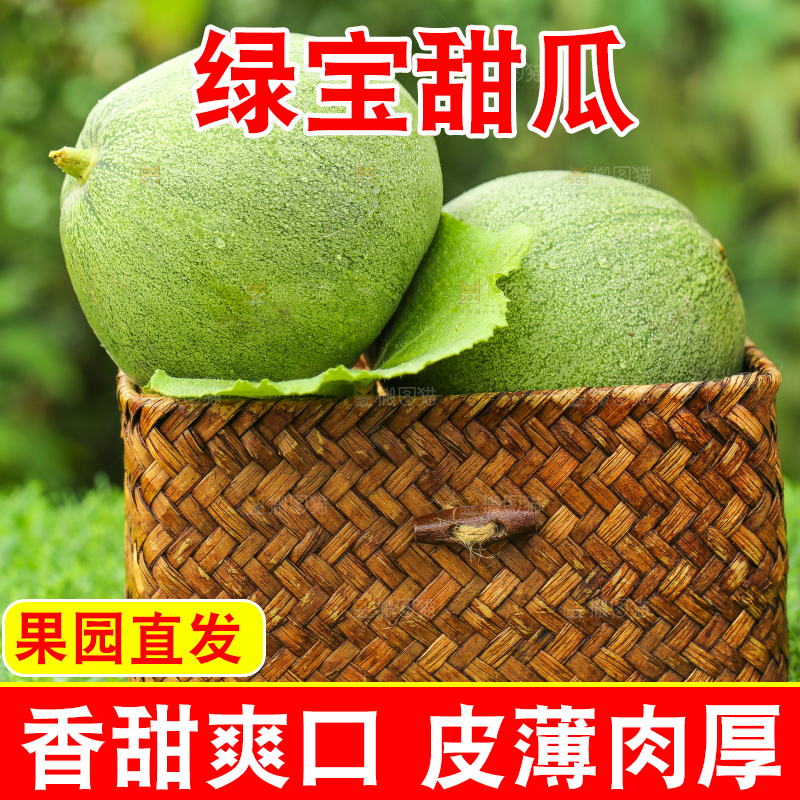 草地上放着绿宝甜瓜