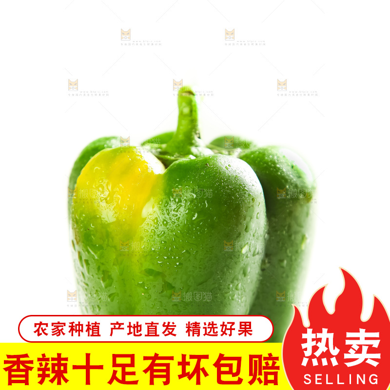 白底上放着一堆圆辣椒