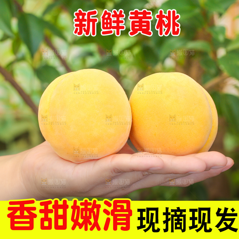 手里拿着黄肉水蜜桃