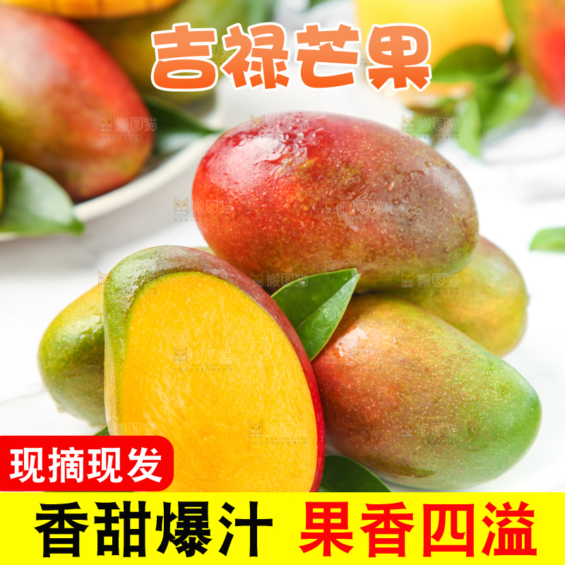 白石板上摆放着四川吉禄芒