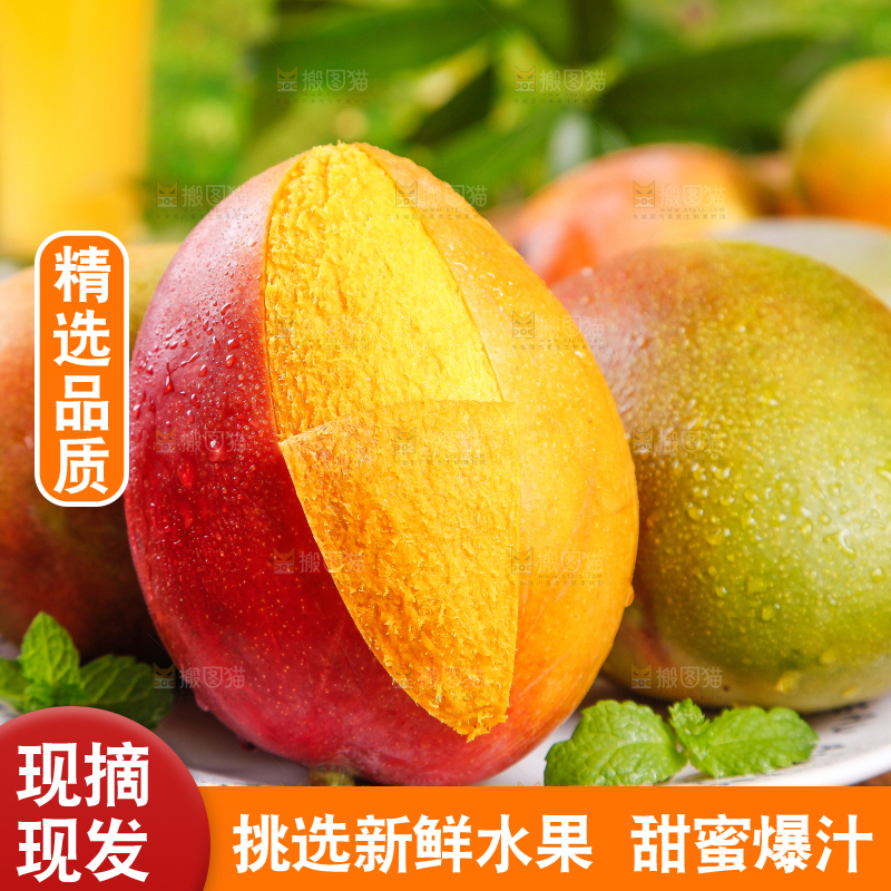 木底上的爱文芒