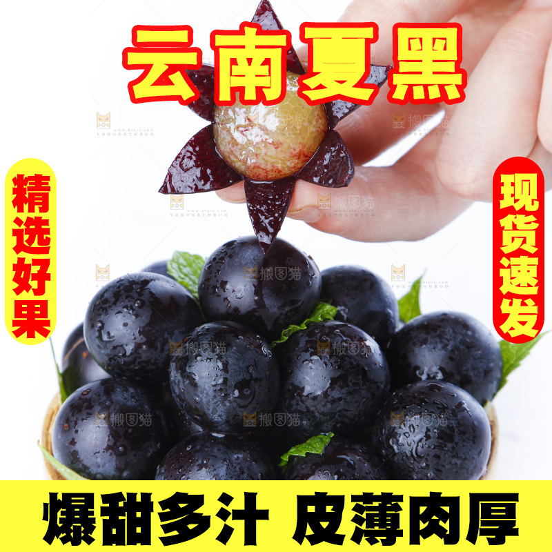 手里拿着黑加仑葡萄