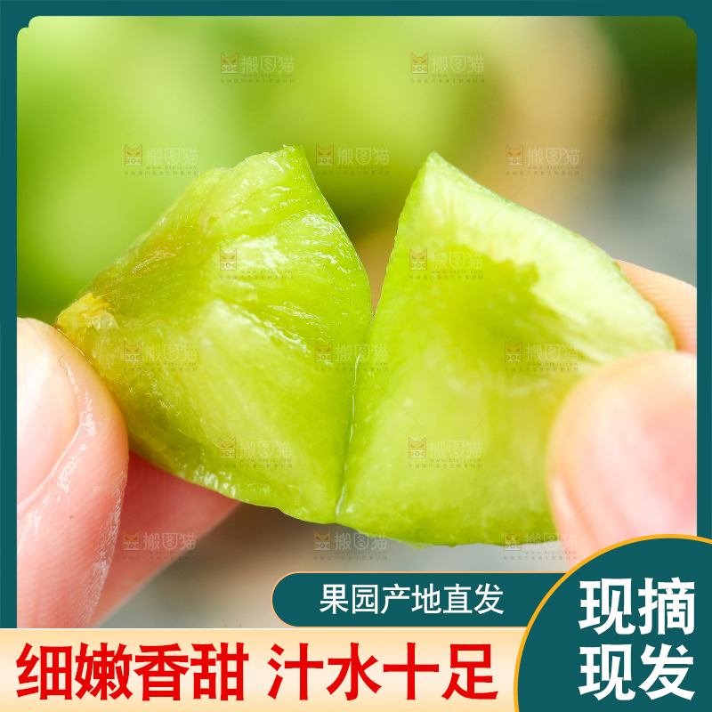 手里拿着脆红李