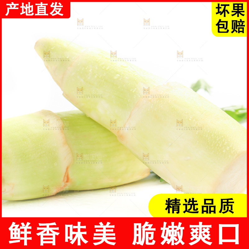 白底上的茭白