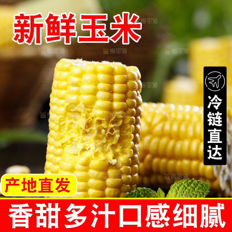 石板上放着黄玉米