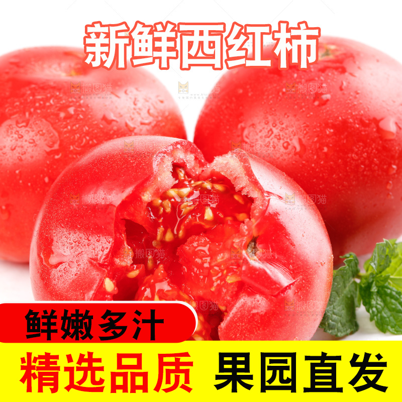 亮底上的新鲜西红柿