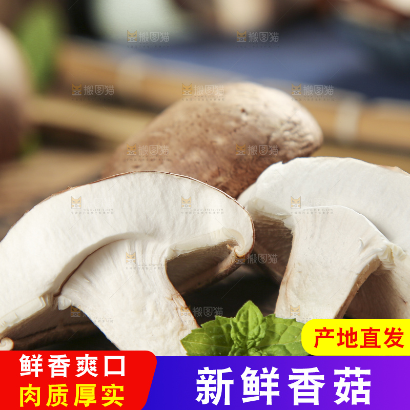 木底上摆放着湖北香菇