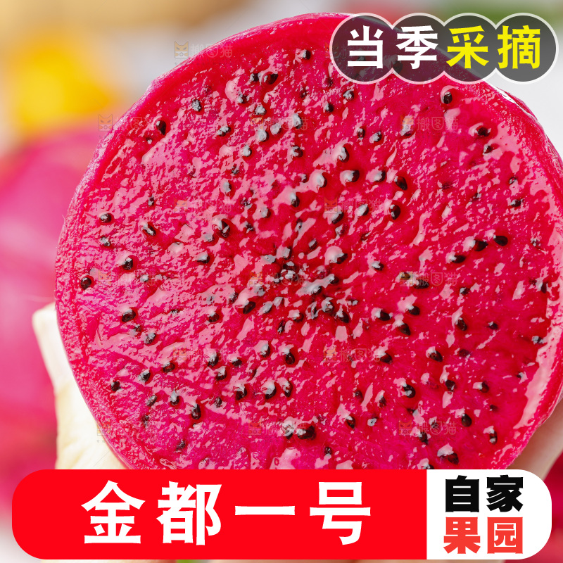 白石板上的红肉金都一号