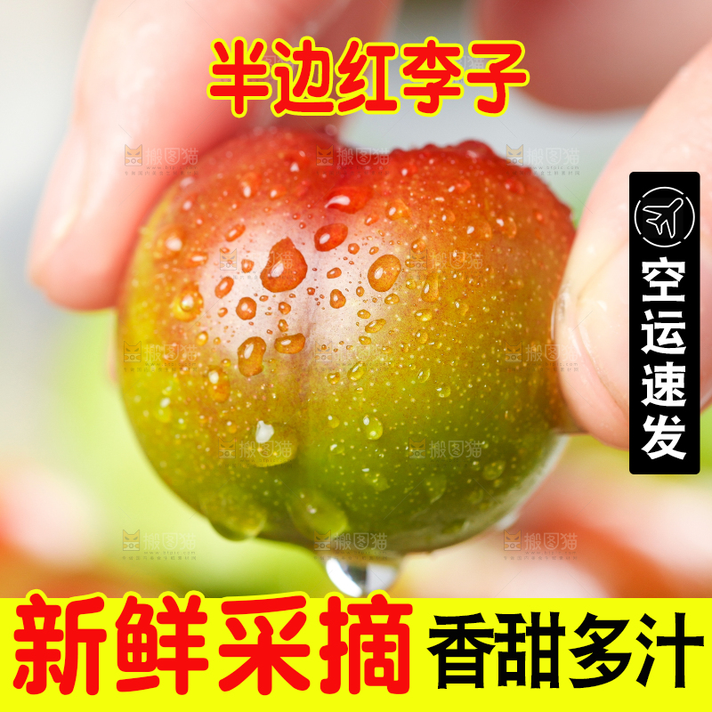 手里拿着脆红李