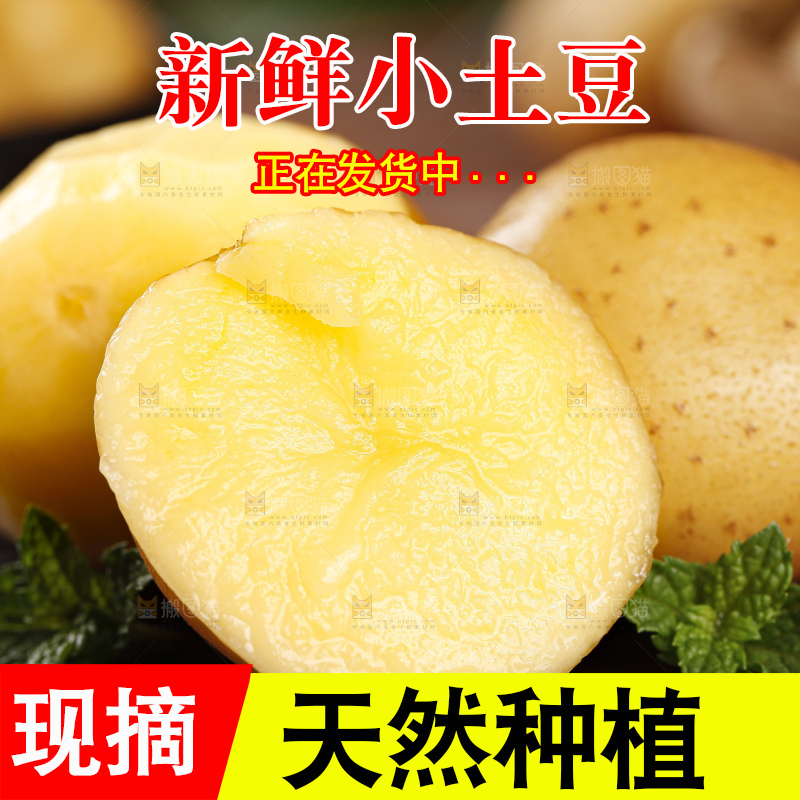 黑石板上摆放着黄心小土豆