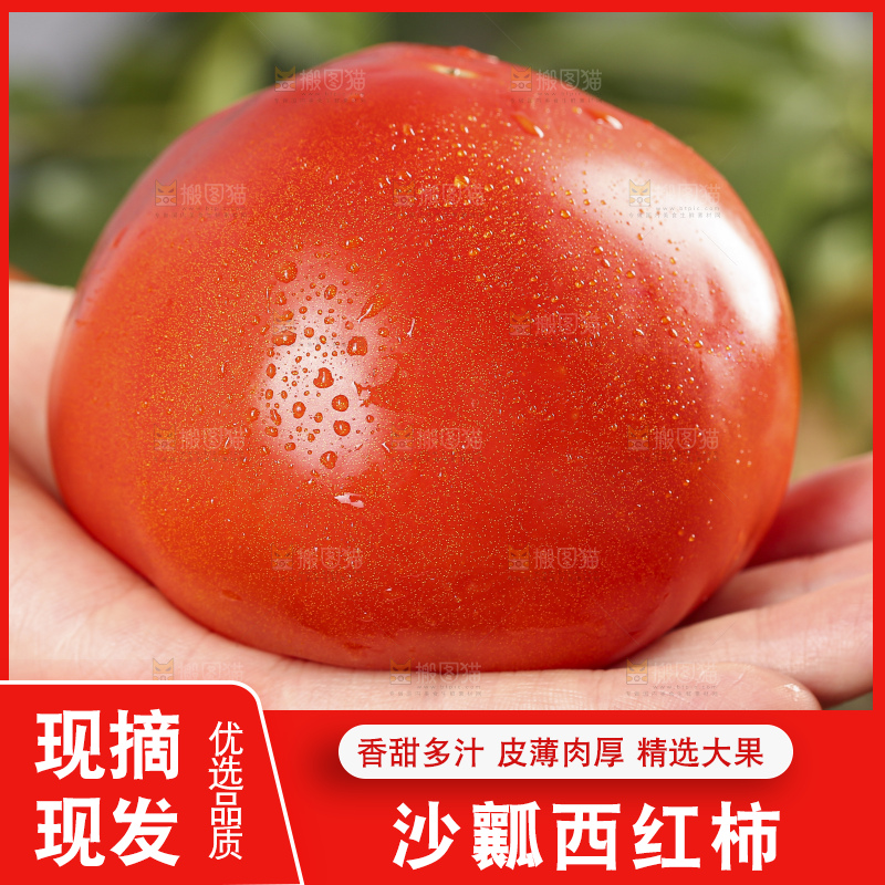 手里拿着沙瓤西红柿