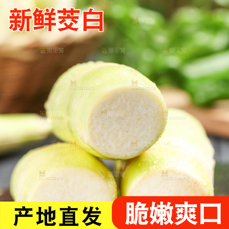 石板上的云南茭白