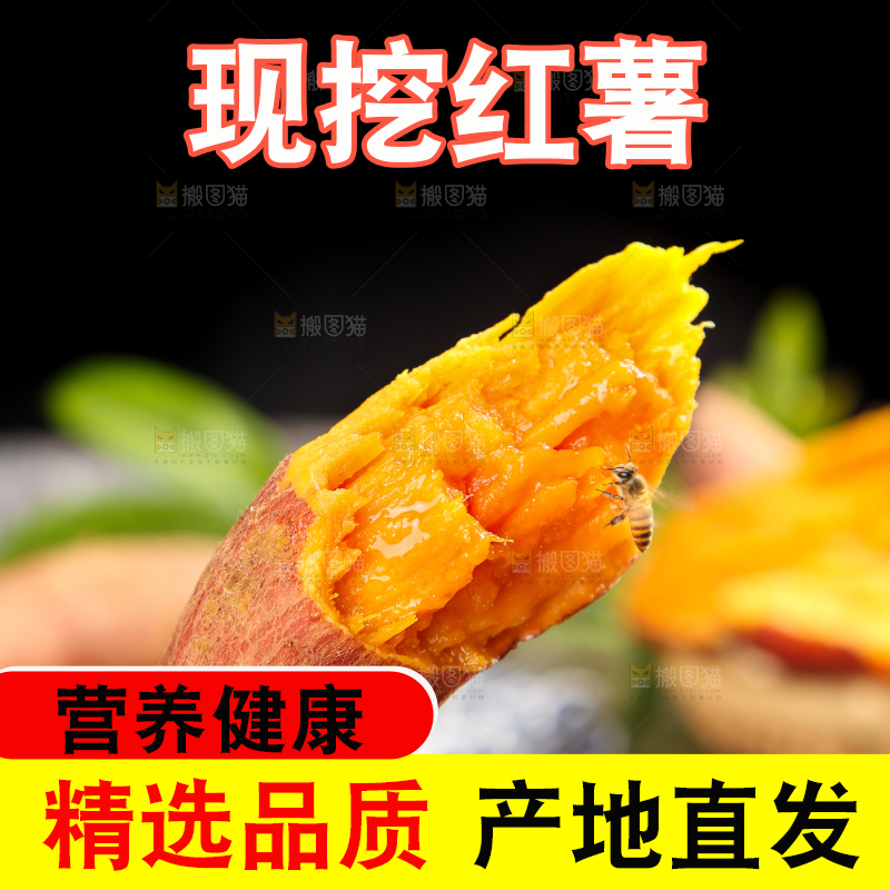 手上拿着福建六鳌蜜薯