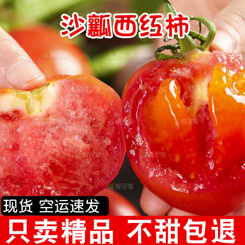 手里拿着新鲜西红柿