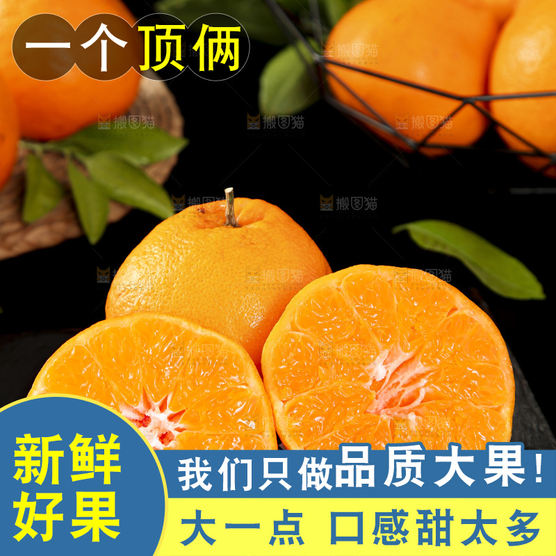 石板上摆放着四川春见耙耙柑