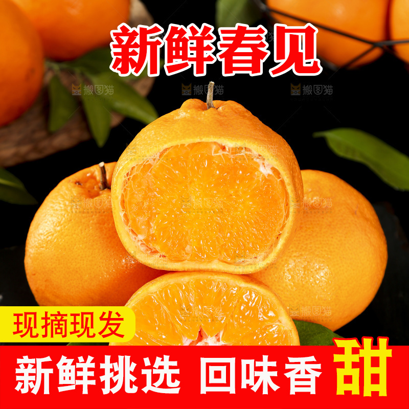 石板上摆放着四川春见耙耙柑