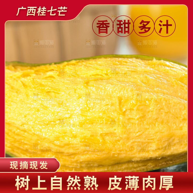 石板上的青皮桂七芒