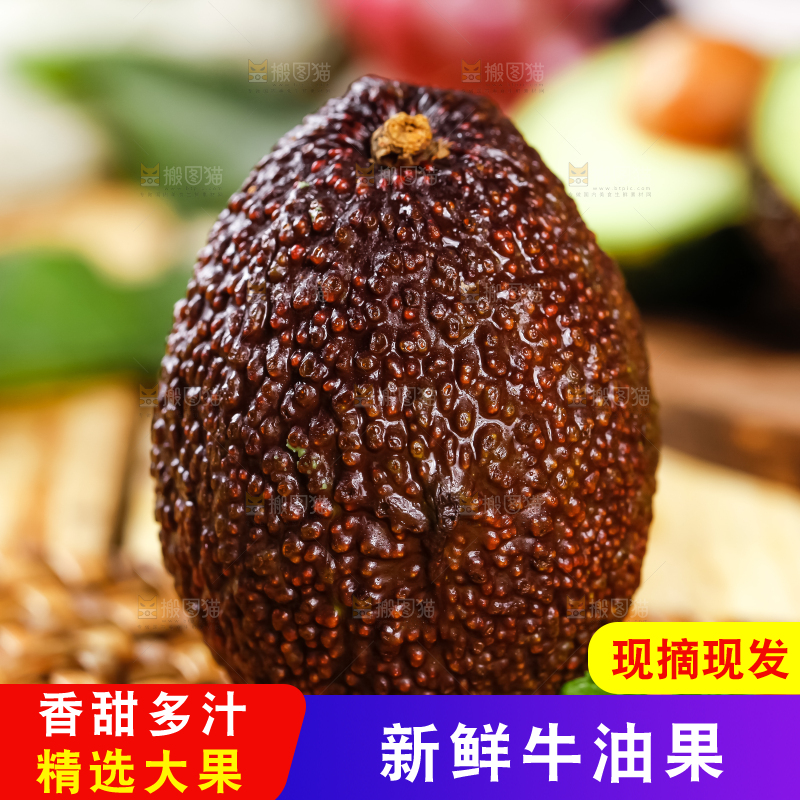 浅底上的巨无霸牛油果