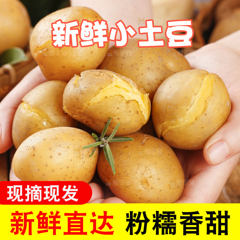 深底上的宜昌小土豆