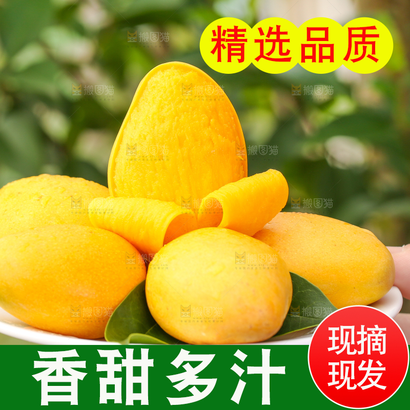 盘子里的小台农芒果