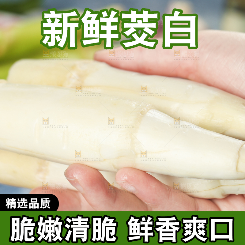 手里拿着农家茭白