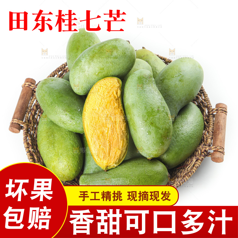 白底上放着青皮桂七芒