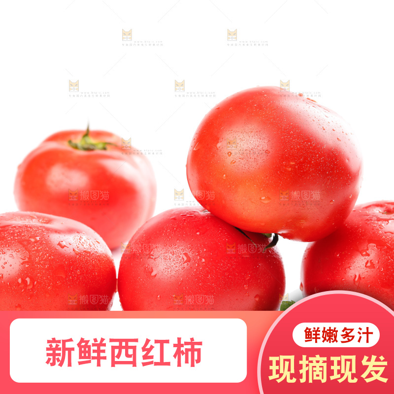亮底上的新鲜西红柿