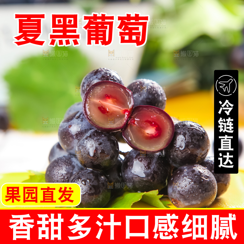 黄底上放着黑加仑葡萄