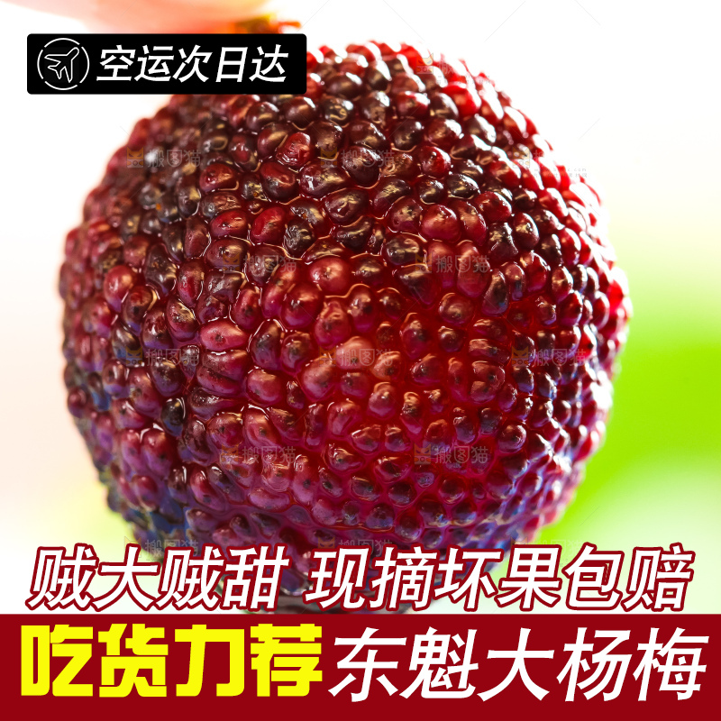 手里拿着荸荠杨梅