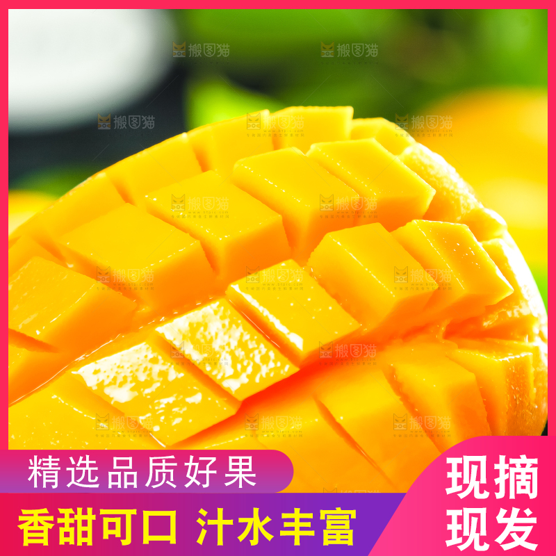 手里拿着小台芒