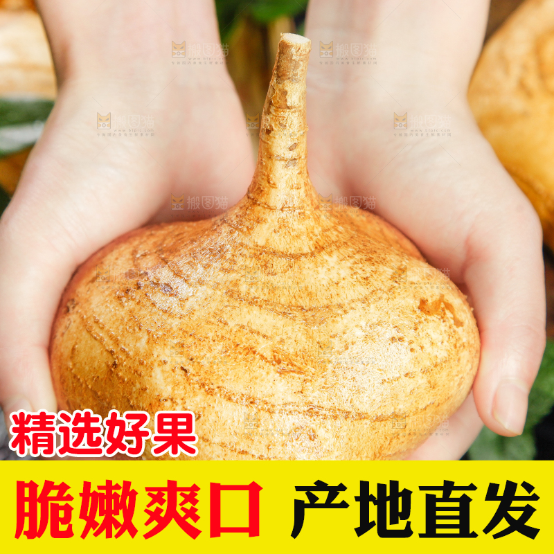 手里拿着地瓜