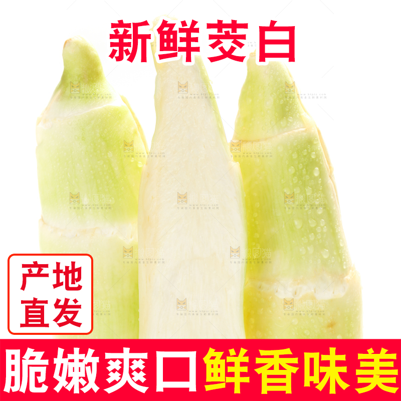白底上的茭白