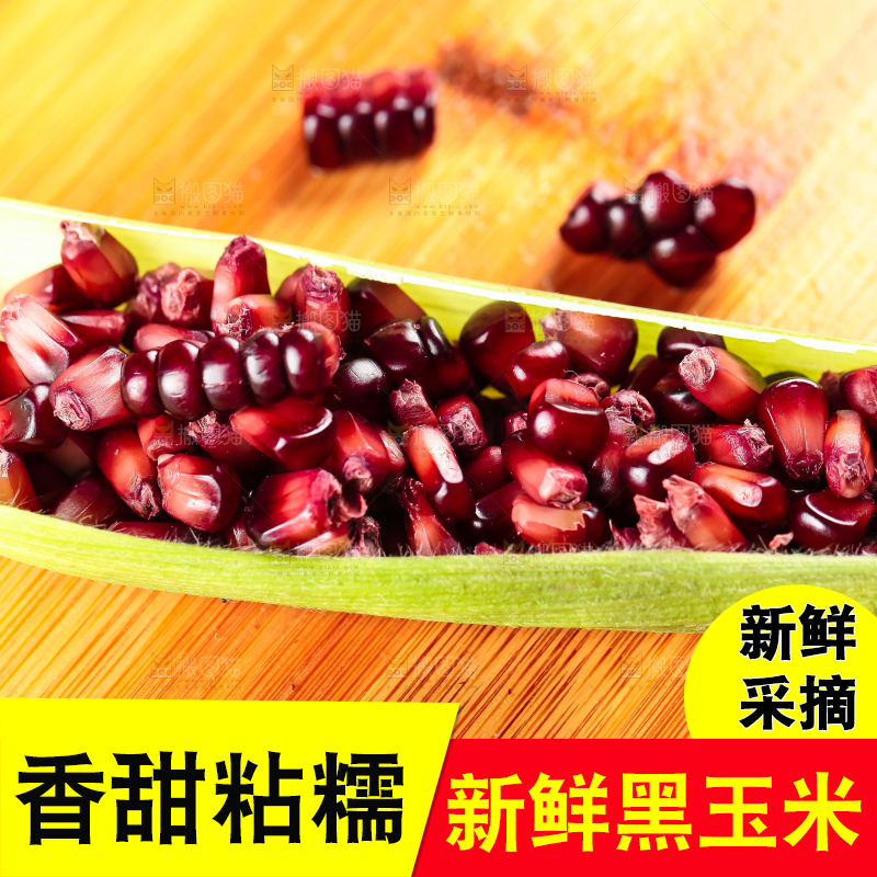 木底上摆放着紫玉米