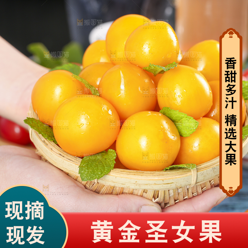 手里端着一篮黄色圣女果