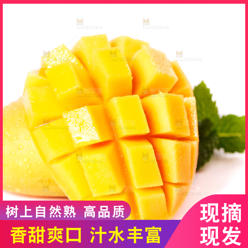 白底上摆放着小台农芒果