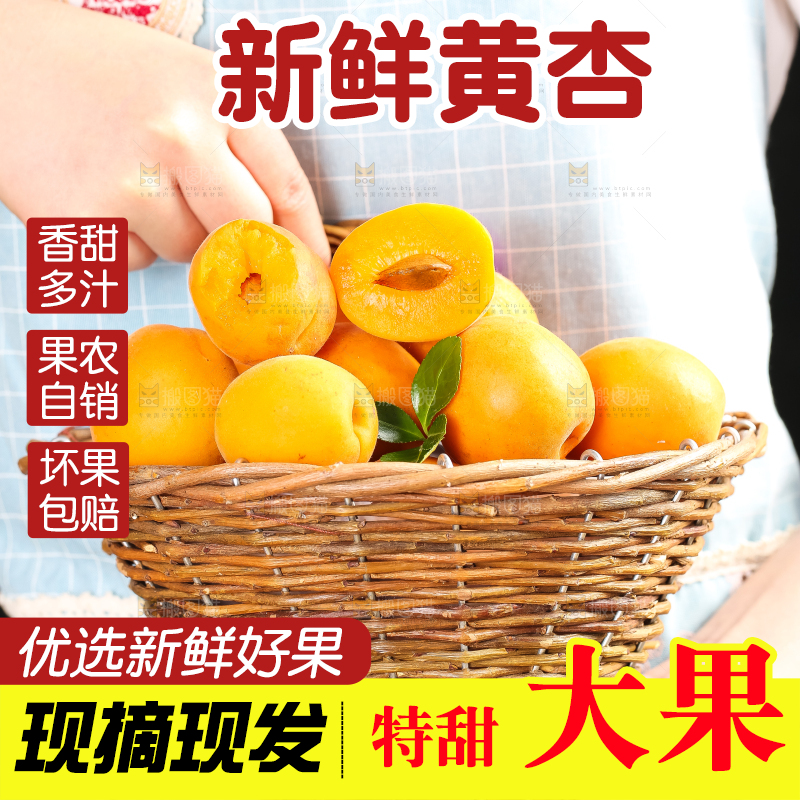手里拿着一篮山东大黄杏