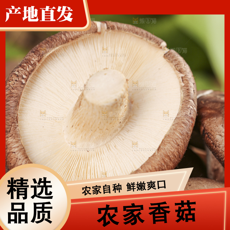 碟子里放着新鲜香菇
