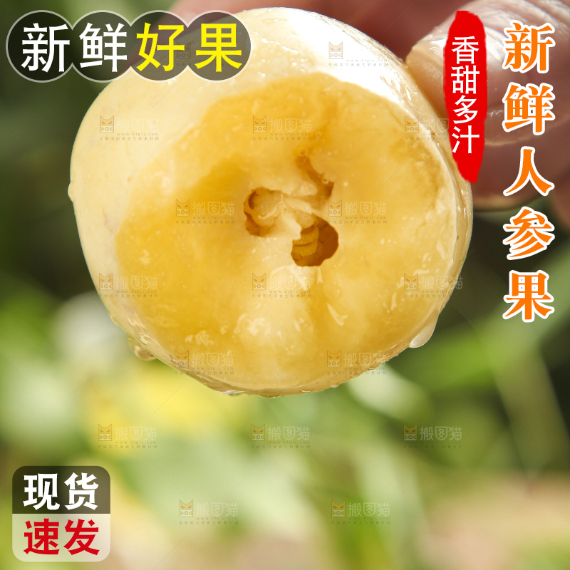 手里拿着人参圆果