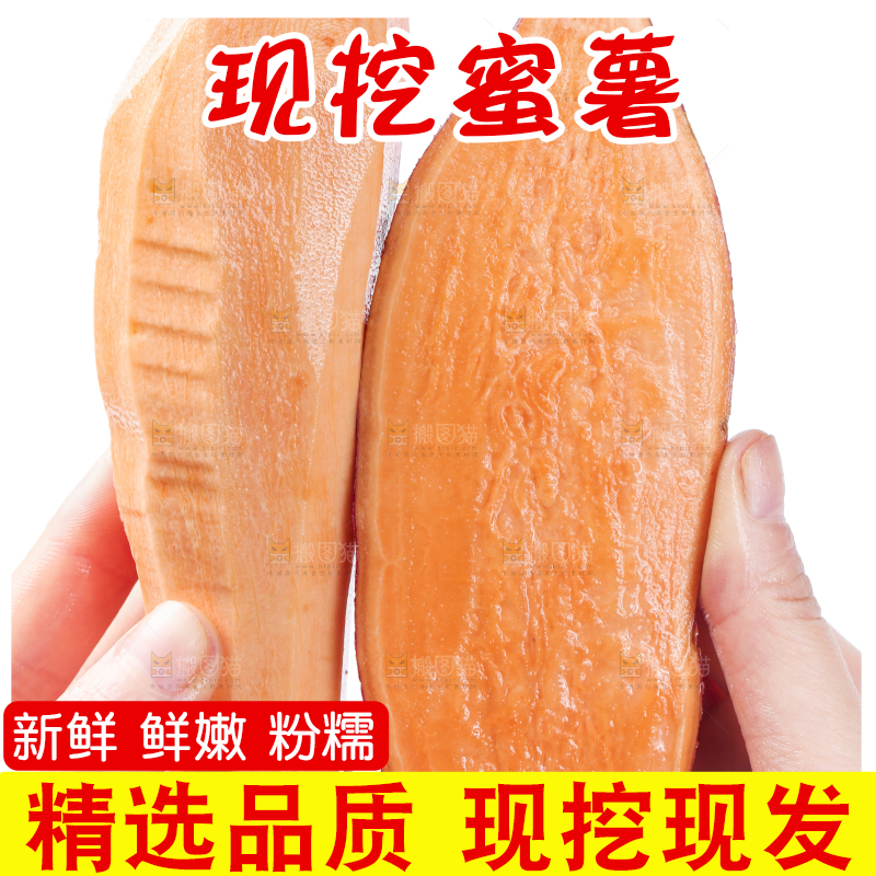 手里拿着红心蜜薯