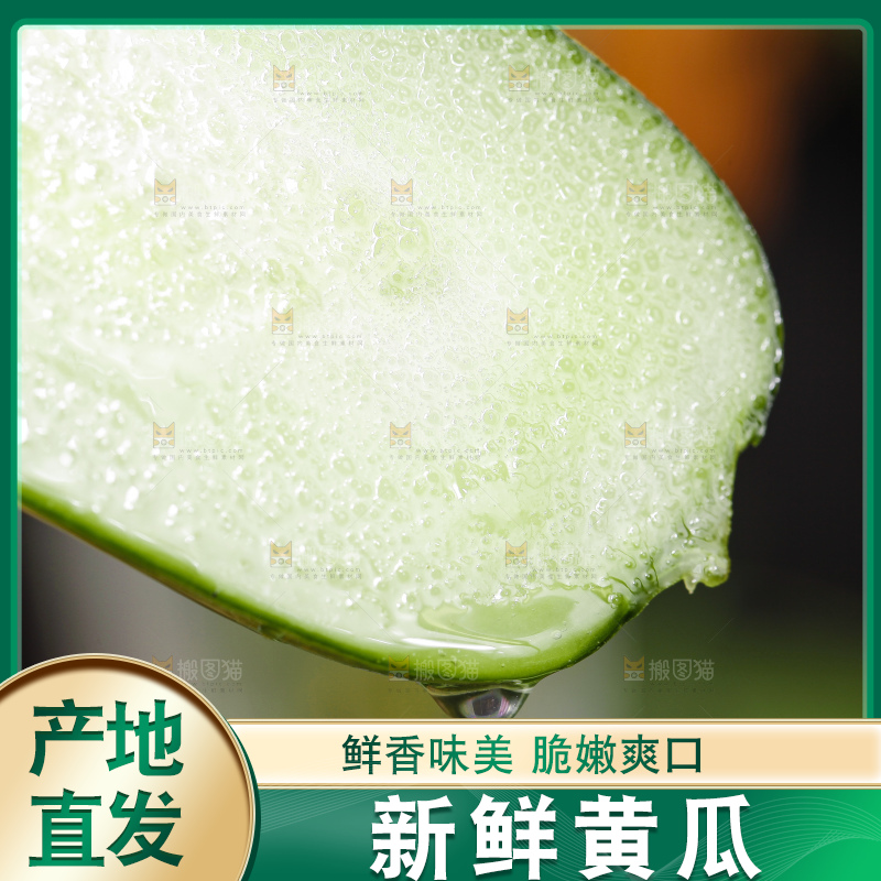 浅底上切开的嫩黄瓜