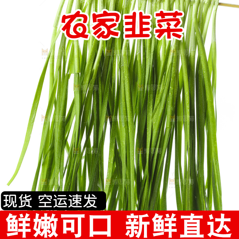 竹签上串着新鲜韭菜